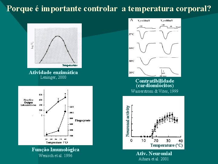 Porque é importante controlar a temperatura corporal? Temperature Atividade enzimática Leninger, 2000 Contratibilidade (cardiomiócitos)