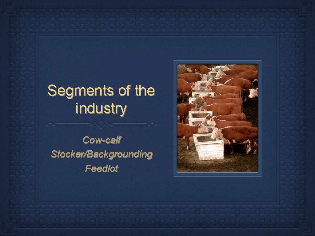 Segments of the industry Cow-calf Stocker/Backgrounding Feedlot 