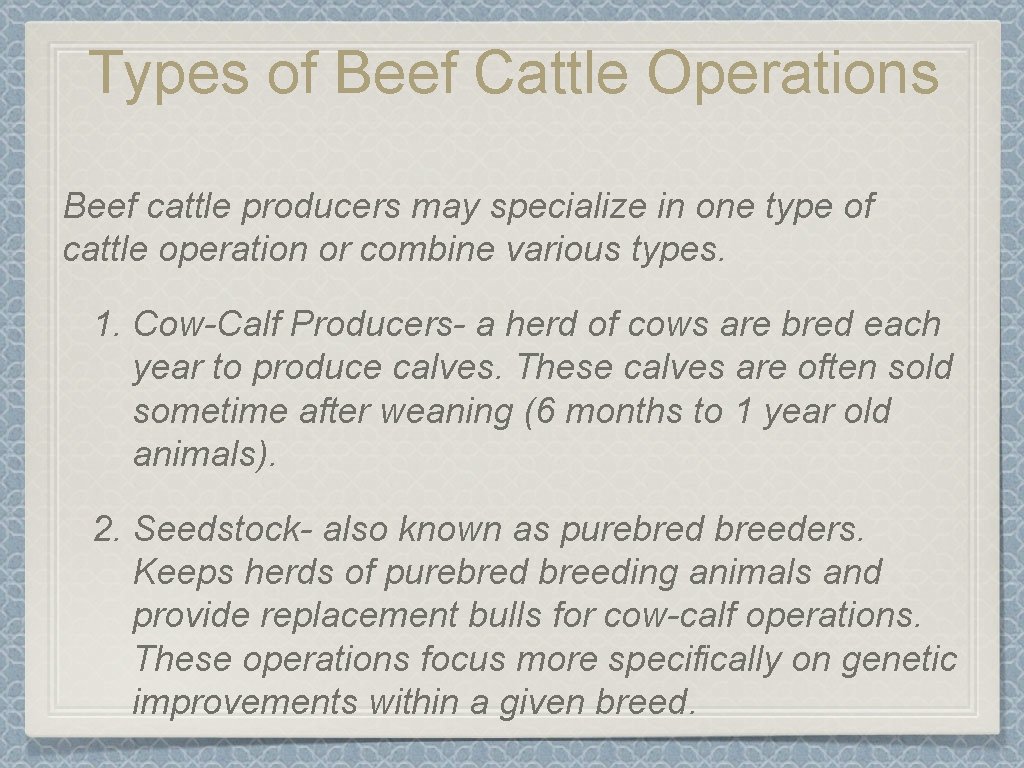 Types of Beef Cattle Operations Beef cattle producers may specialize in one type of