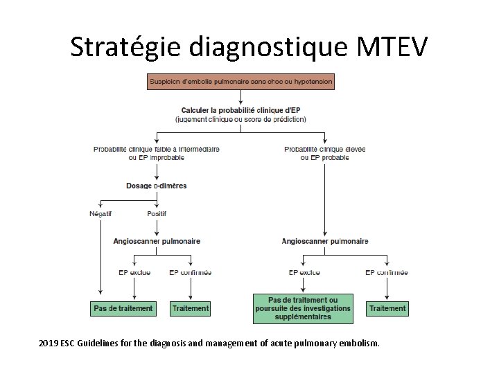 Stratégie diagnostique MTEV 2019 ESC Guidelines for the diagnosis and management of acute pulmonary