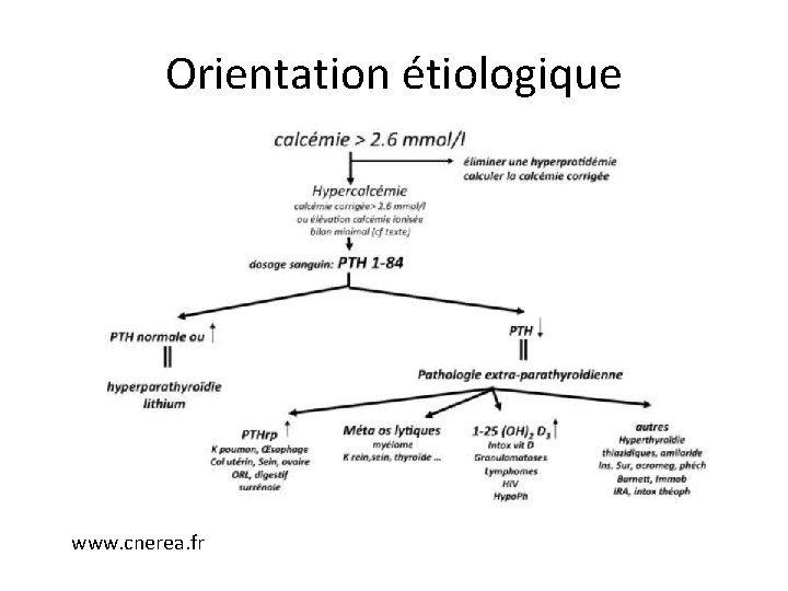 Orientation étiologique www. cnerea. fr 