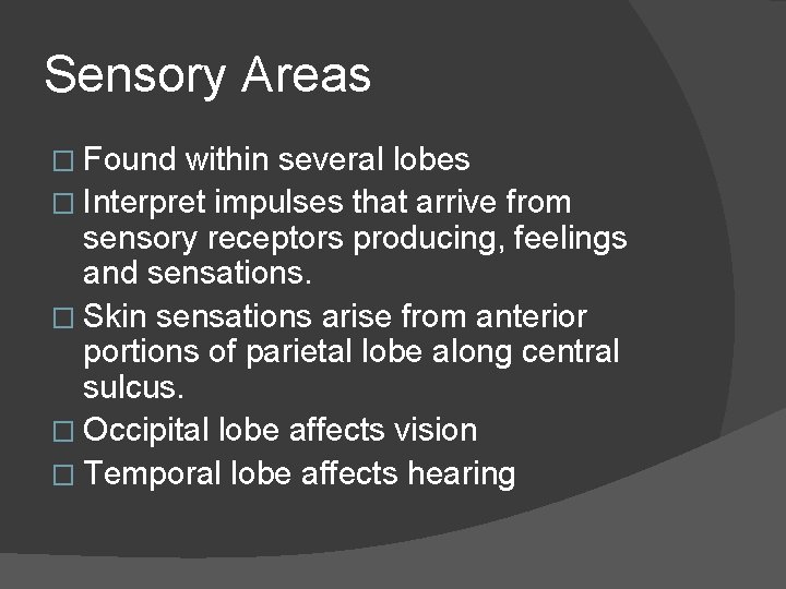 Sensory Areas � Found within several lobes � Interpret impulses that arrive from sensory