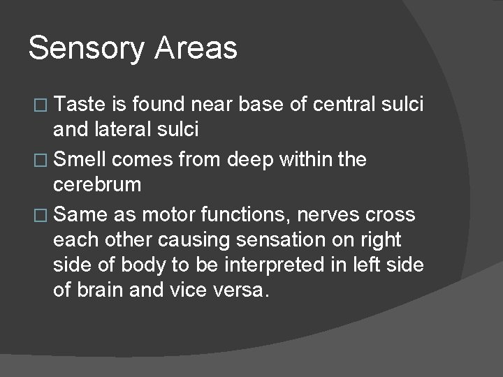 Sensory Areas � Taste is found near base of central sulci and lateral sulci