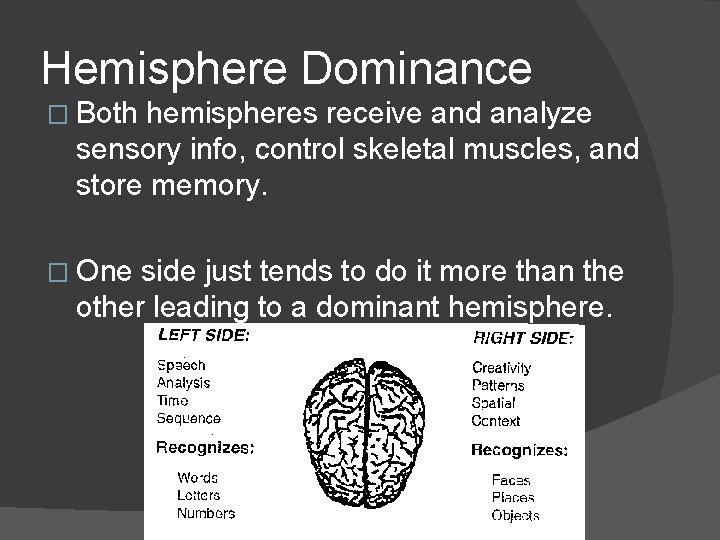 Hemisphere Dominance � Both hemispheres receive and analyze sensory info, control skeletal muscles, and