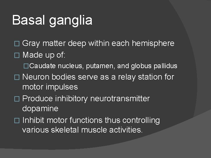Basal ganglia Gray matter deep within each hemisphere � Made up of: � �Caudate