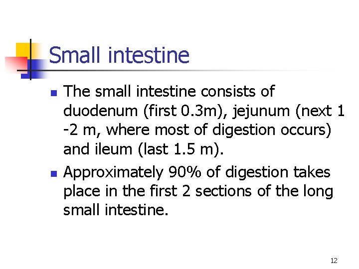 Small intestine n n The small intestine consists of duodenum (first 0. 3 m),