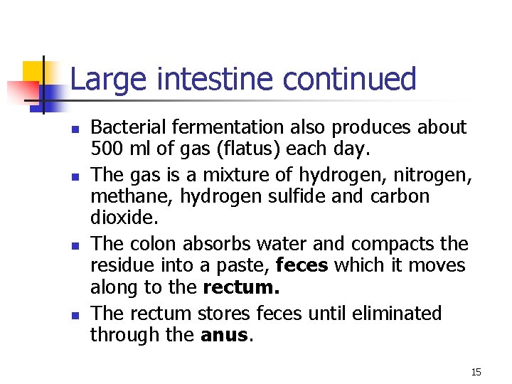 Large intestine continued n n Bacterial fermentation also produces about 500 ml of gas