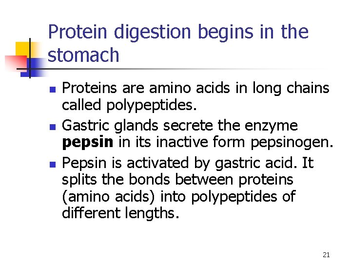 Protein digestion begins in the stomach n n n Proteins are amino acids in