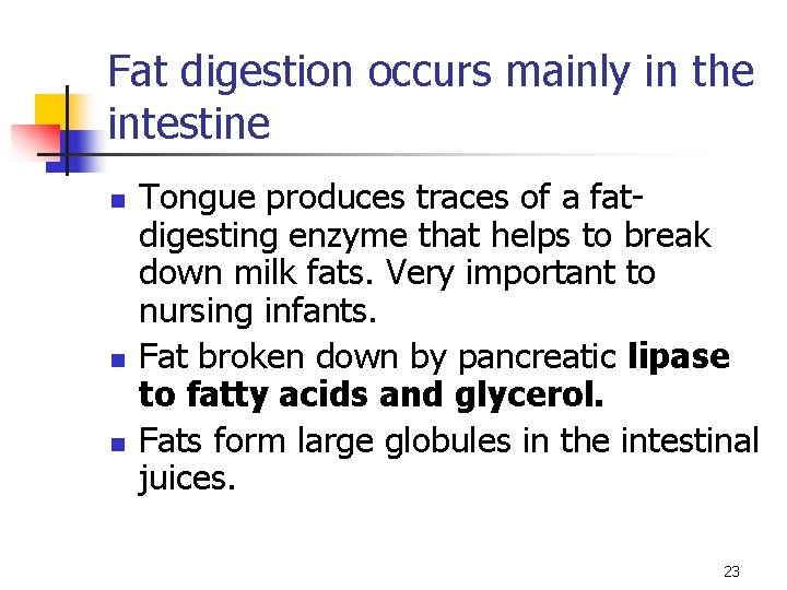 Fat digestion occurs mainly in the intestine n n n Tongue produces traces of