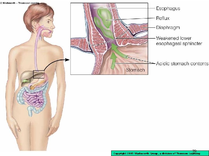 39 Copyright 2005 Wadsworth Group, a division of Thomson Learning 