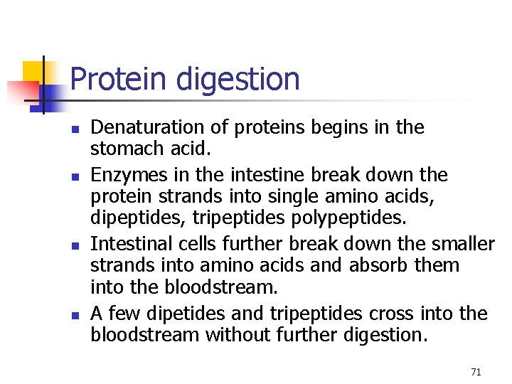 Protein digestion n n Denaturation of proteins begins in the stomach acid. Enzymes in