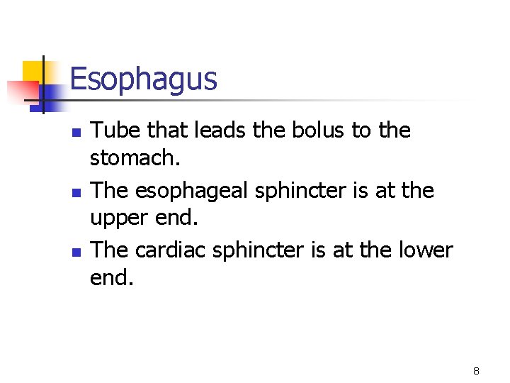 Esophagus n n n Tube that leads the bolus to the stomach. The esophageal
