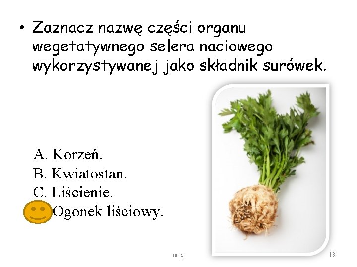  • Zaznacz nazwę części organu wegetatywnego selera naciowego wykorzystywanej jako składnik surówek. A.