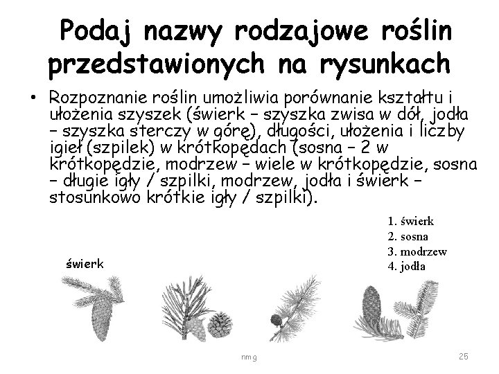 Podaj nazwy rodzajowe roślin przedstawionych na rysunkach • Rozpoznanie roślin umożliwia porównanie kształtu i