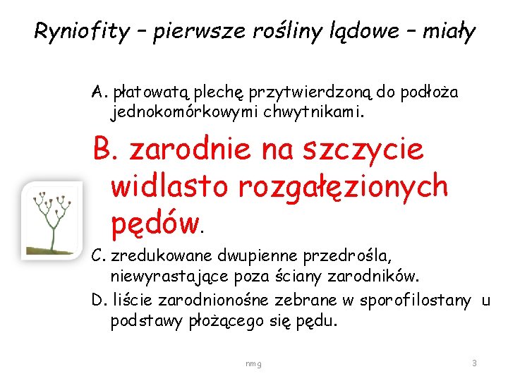 Ryniofity – pierwsze rośliny lądowe – miały A. płatowatą plechę przytwierdzoną do podłoża jednokomórkowymi