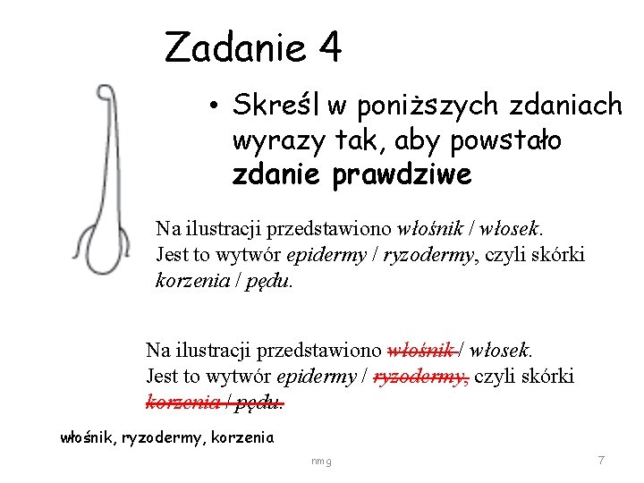 Zadanie 4 • Skreśl w poniższych zdaniach wyrazy tak, aby powstało zdanie prawdziwe Na