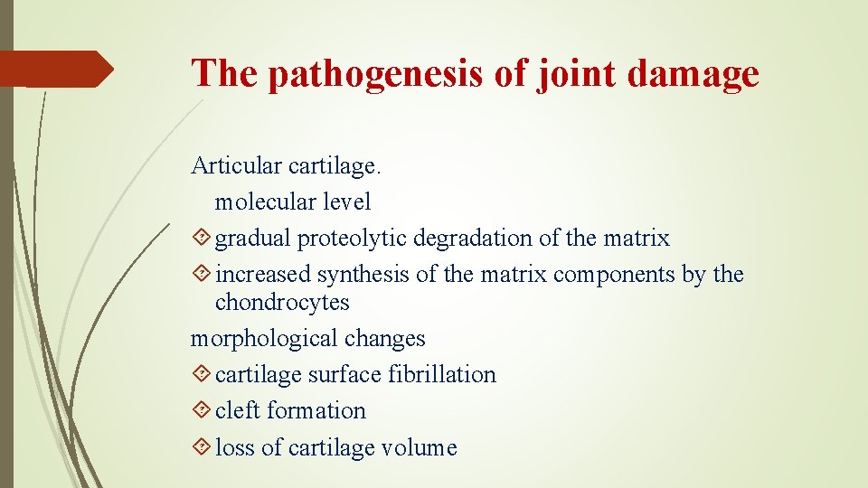 The pathogenesis of joint damage Articular cartilage. molecular level gradual proteolytic degradation of the