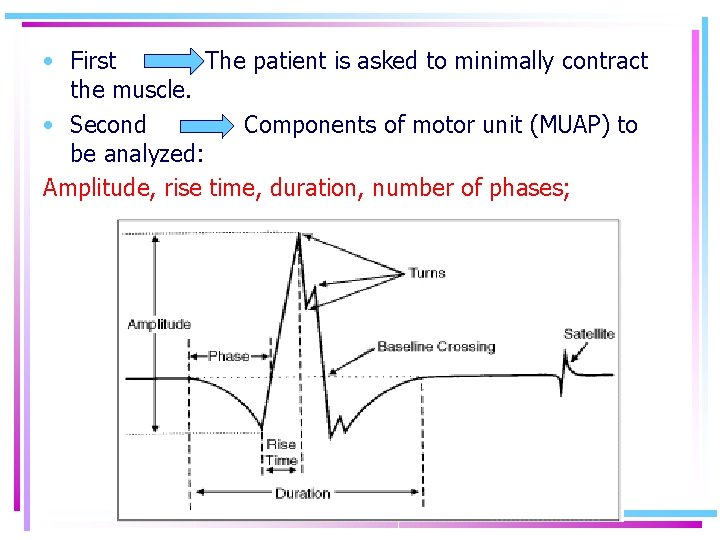  • First The patient is asked to minimally contract the muscle. • Second