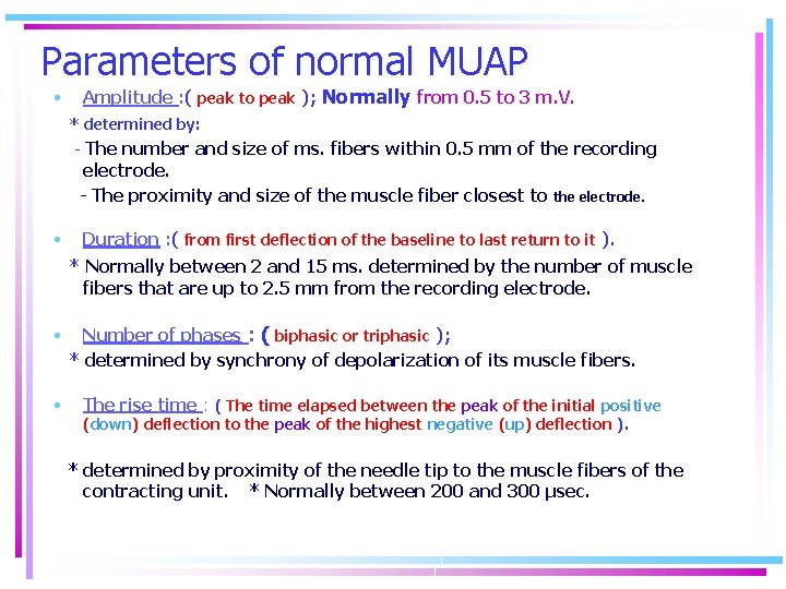Parameters of normal MUAP • Amplitude : ( peak to peak ); Normally from