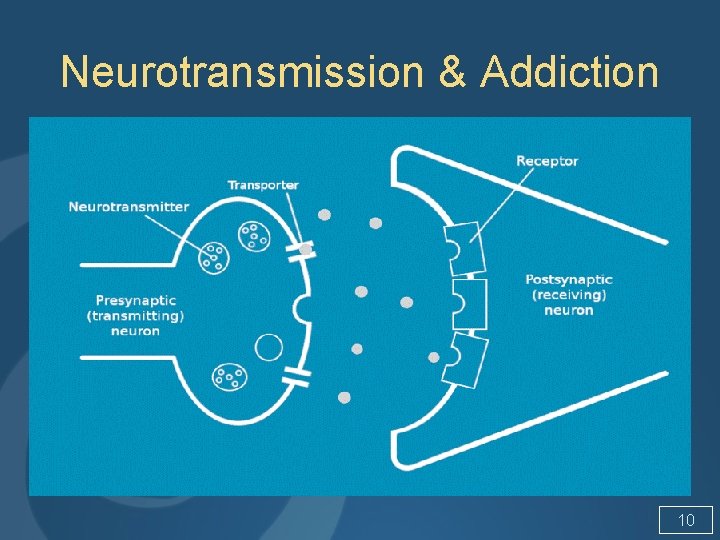 Neurotransmission & Addiction 10 