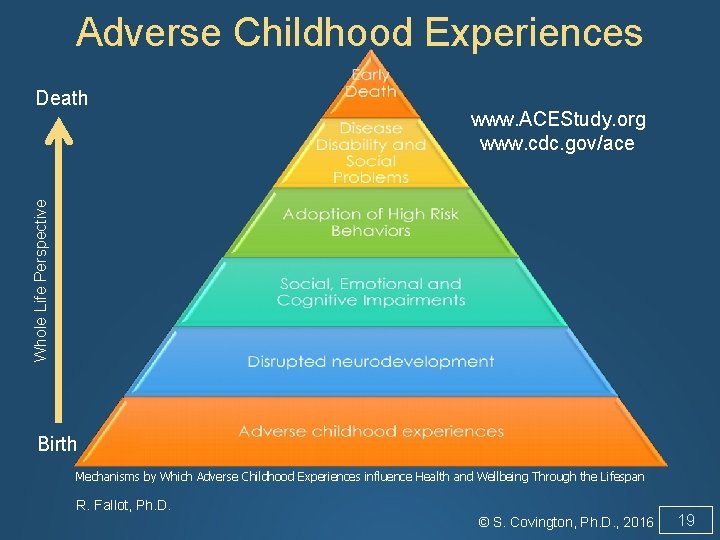 Adverse Childhood Experiences www. ACEStudy. org www. cdc. gov/ace Whole Life Perspective Death Birth
