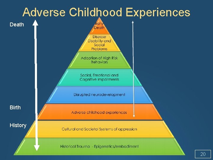 Adverse Childhood Experiences Death Birth History 20 