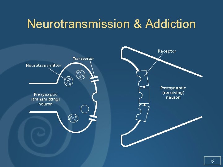 Neurotransmission & Addiction 6 