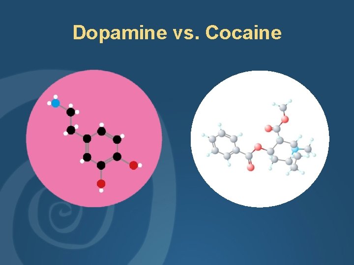Dopamine vs. Cocaine 