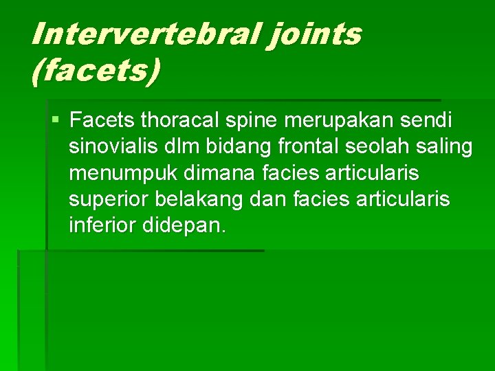 Intervertebral joints (facets) § Facets thoracal spine merupakan sendi sinovialis dlm bidang frontal seolah