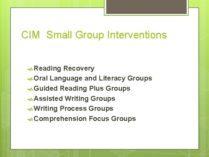 CIM Small Group Interventions Reading Recovery Oral Language and Literacy Groups Guided Reading Plus