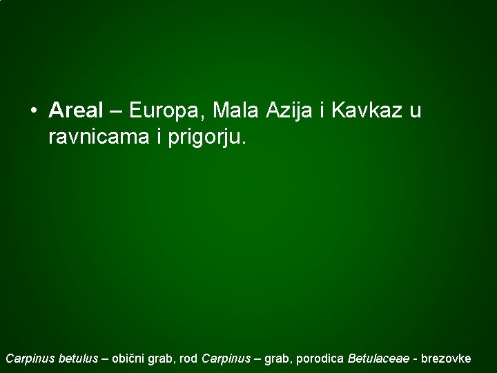  • Areal – Europa, Mala Azija i Kavkaz u ravnicama i prigorju. Carpinus