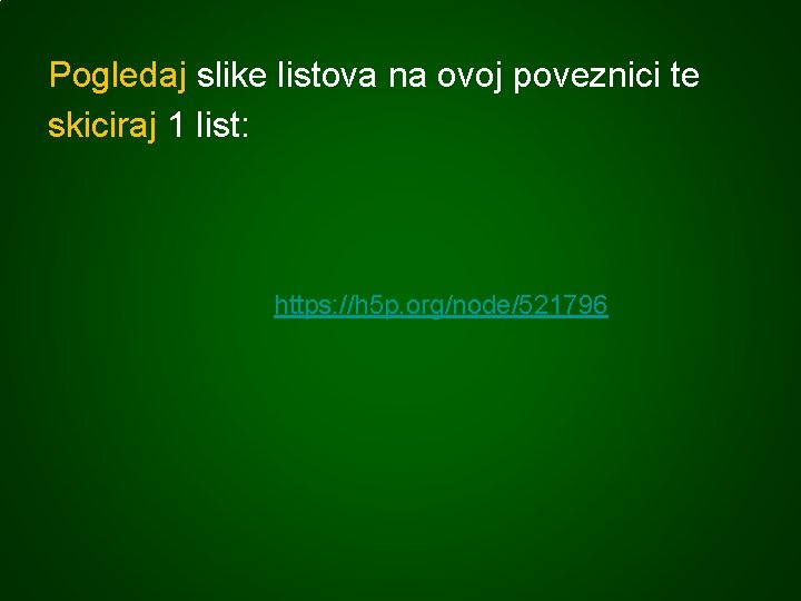 Pogledaj slike listova na ovoj poveznici te skiciraj 1 list: https: //h 5 p.