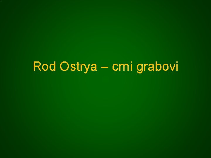 Rod Ostrya – crni grabovi 