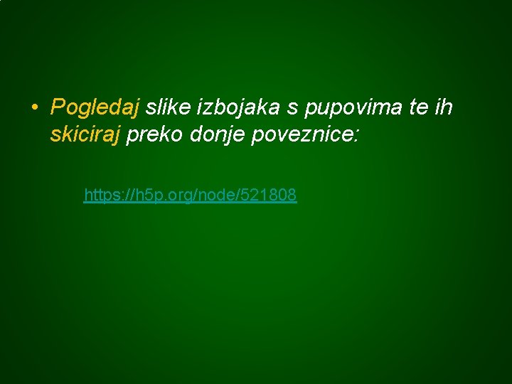  • Pogledaj slike izbojaka s pupovima te ih skiciraj preko donje poveznice: https: