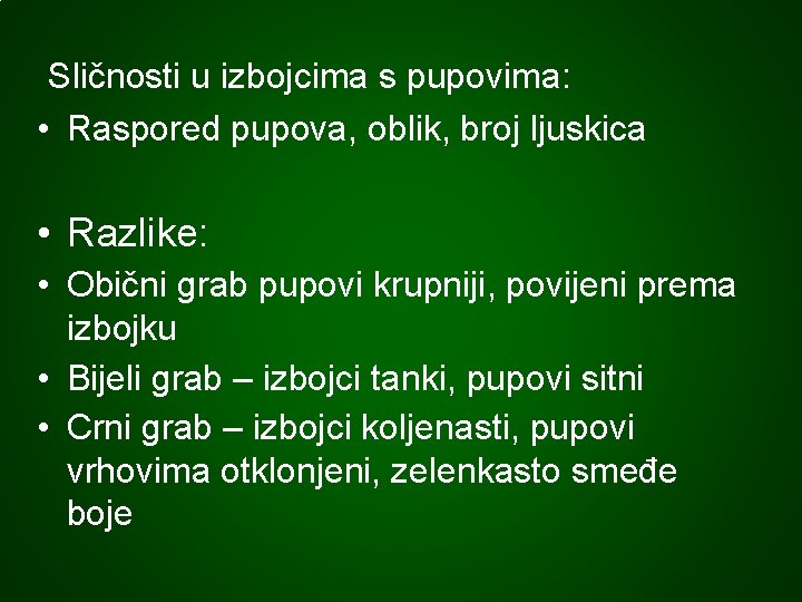 Sličnosti u izbojcima s pupovima: • Raspored pupova, oblik, broj ljuskica • Razlike: •