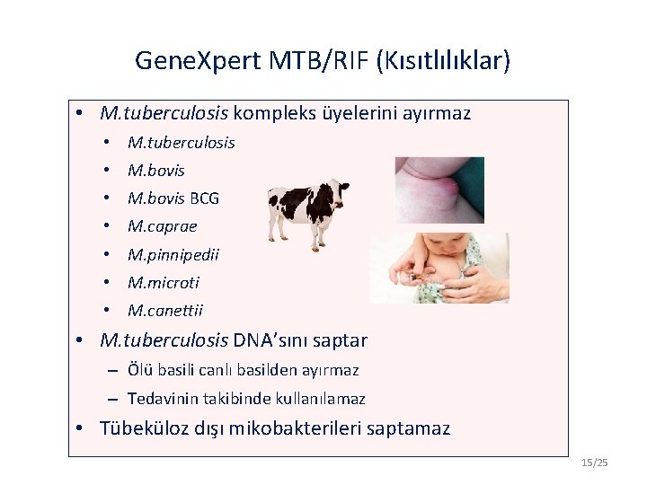 Gene. Xpert MTB/RIF (Kısıtlılıklar) • M. tuberculosis kompleks üyelerini ayırmaz • M. tuberculosis •