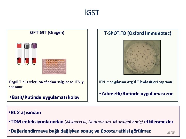 İGST QFT-GIT (Qiagen) Özgül T hücreleri tarafından salgılanan IFN-γ saptanır • Basit/Rutinde uygulaması kolay