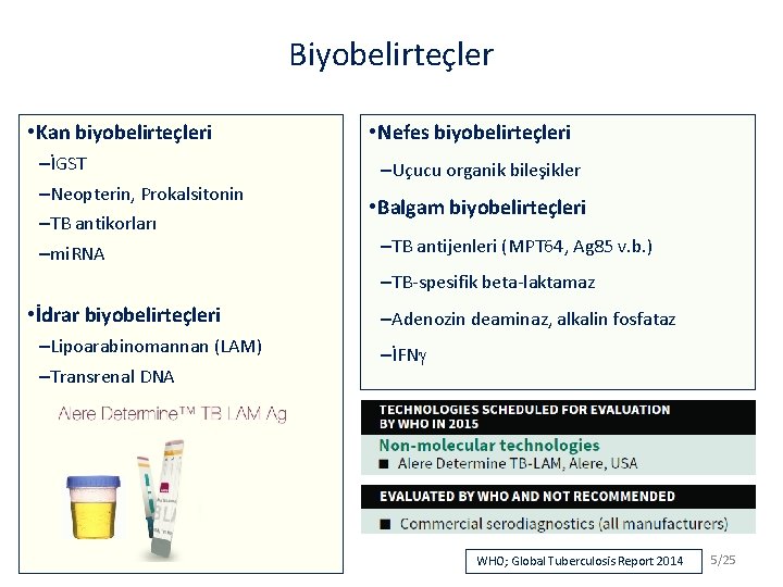 Biyobelirteçler • Kan biyobelirteçleri –İGST –Neopterin, Prokalsitonin –TB antikorları –mi. RNA • Nefes biyobelirteçleri