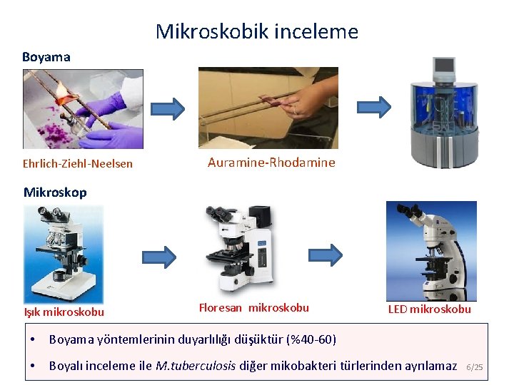 Mikroskobik inceleme Boyama Ehrlich-Ziehl-Neelsen Auramine-Rhodamine Mikroskop Işık mikroskobu Floresan mikroskobu LED mikroskobu • Boyama