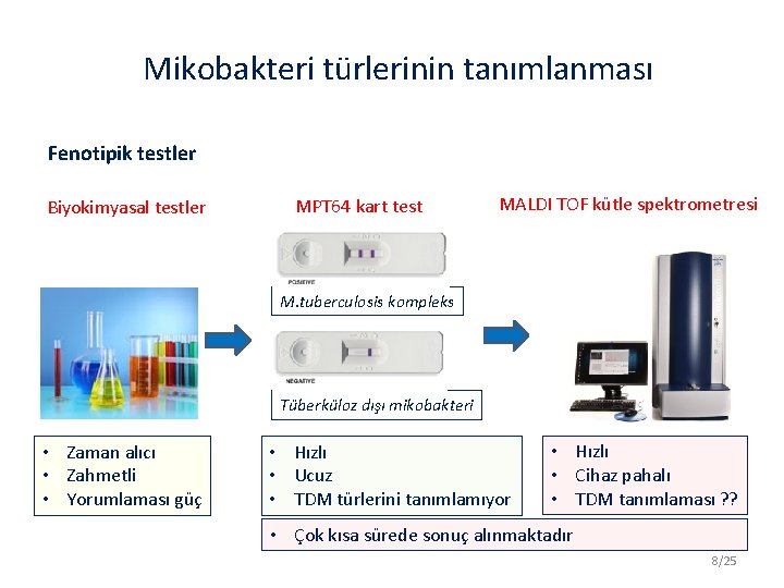 Mikobakteri türlerinin tanımlanması Fenotipik testler Biyokimyasal testler MPT 64 kart test MALDI TOF kütle