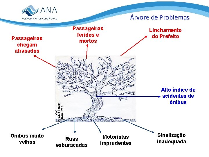 Árvore de Problemas Passageiros chegam atrasados Passageiros feridos e mortos Linchamento do Prefeito Alto