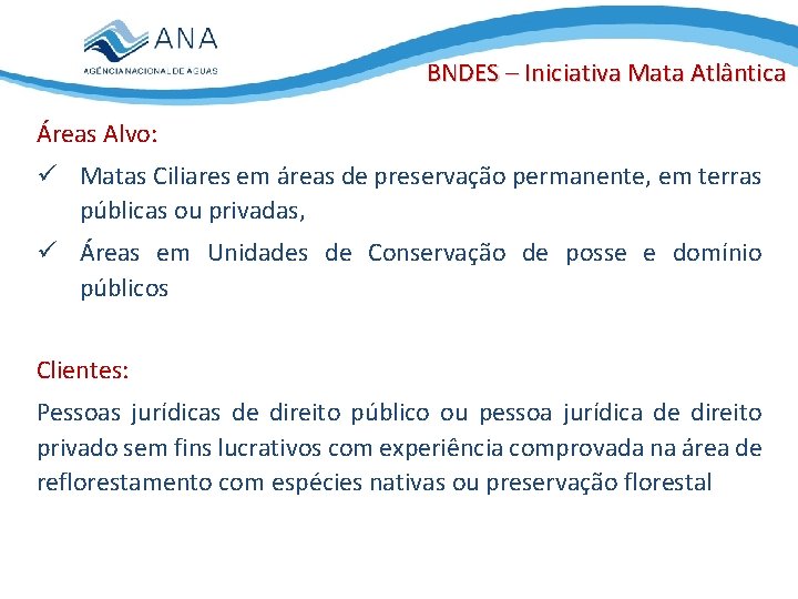 BNDES – Iniciativa Mata Atlântica Áreas Alvo: ü Matas Ciliares em áreas de preservação