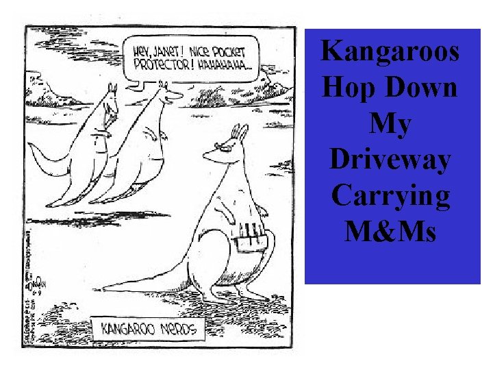Kangaroos Hop Down My Driveway Carrying M&Ms 