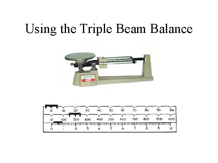 Using the Triple Beam Balance 