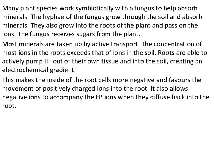 Many plant species work symbiotically with a fungus to help absorb minerals. The hyphae