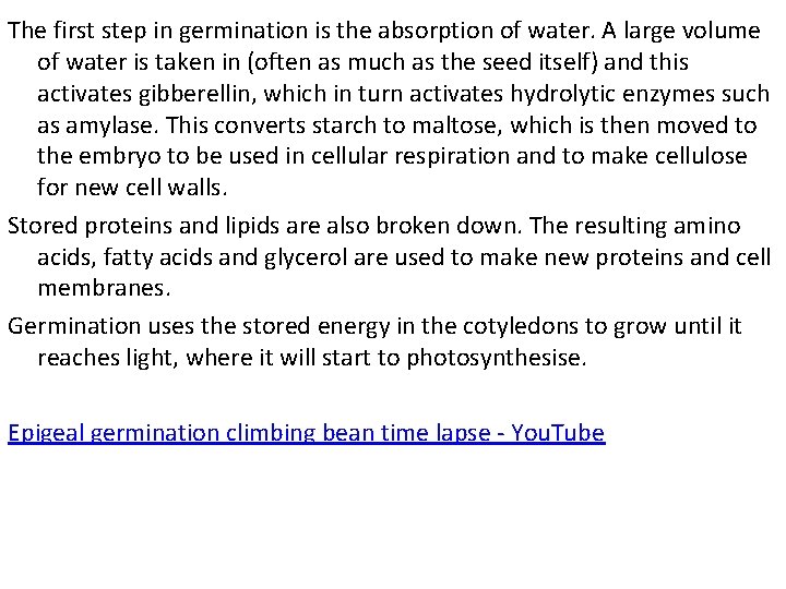 The first step in germination is the absorption of water. A large volume of