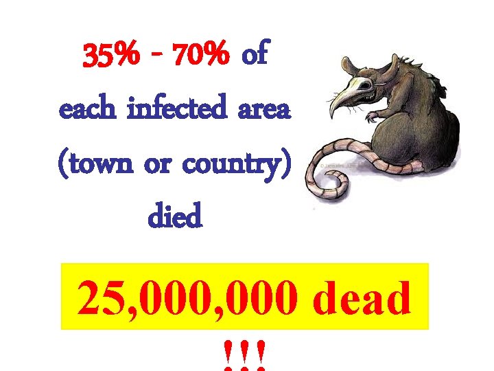 35%The - 70% of Rate Mortality each infected area (town or country) died 25,