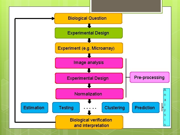 Biological Question Experimental Design Experiment (e. g. Microarray) Image analysis Experimental Design Pre-processing Normalization