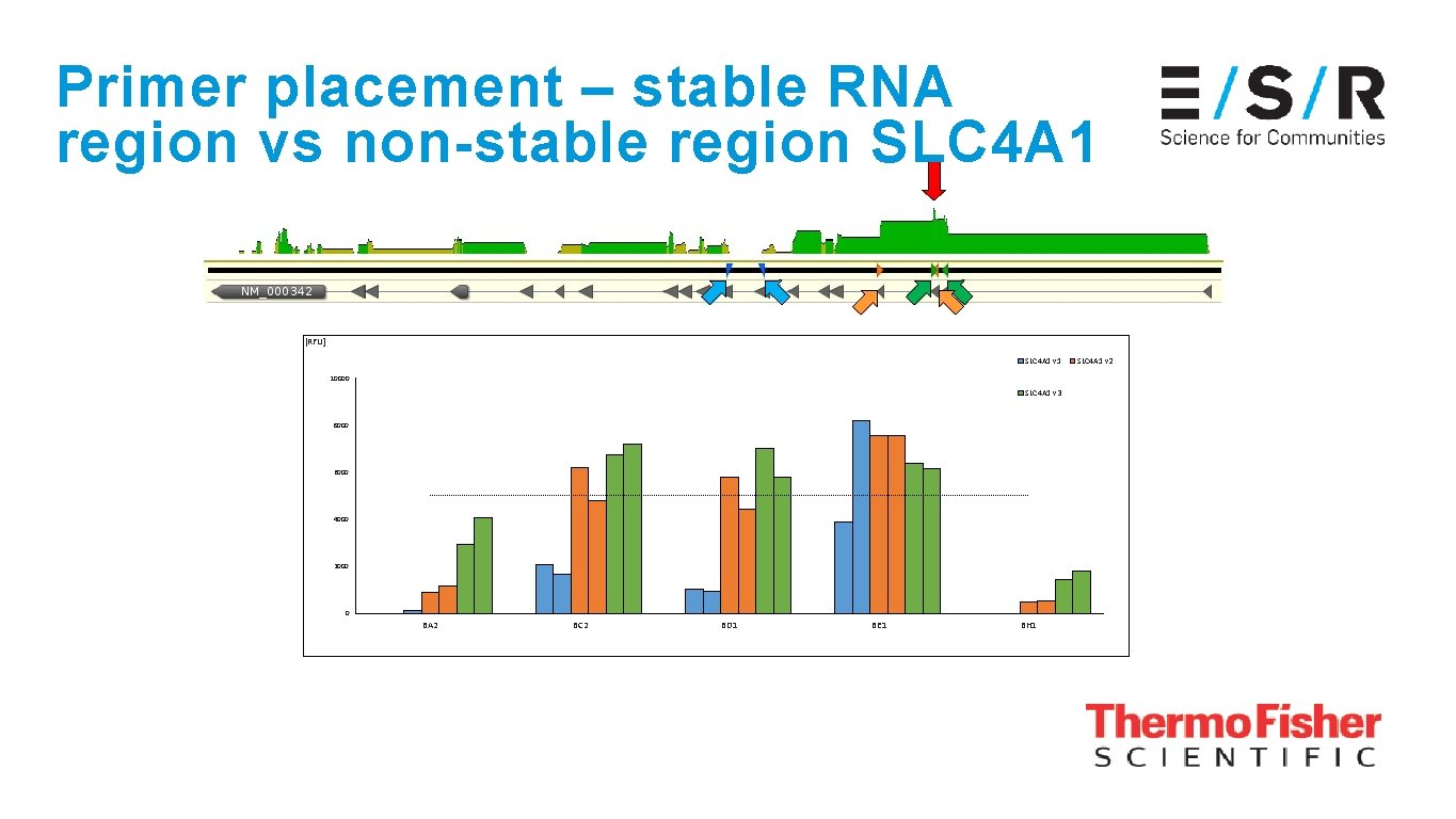 Primer placement – stable RNA region vs non-stable region SLC 4 A 1 [RFU]