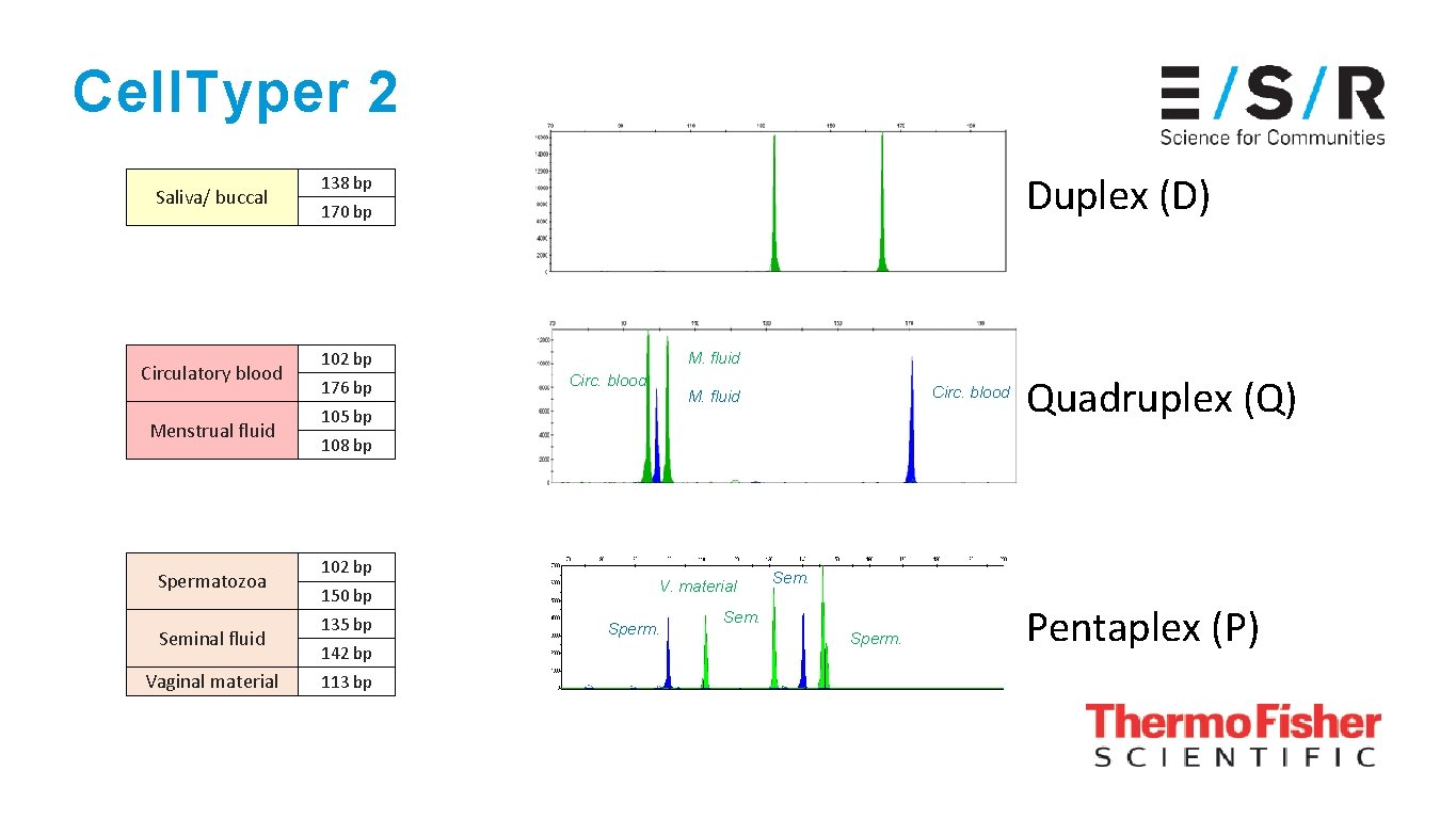 Cell. Typer 2 Saliva/ buccal Circulatory blood Menstrual fluid Spermatozoa Seminal fluid Vaginal material